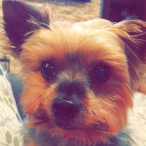 Meet your Posher, Micki